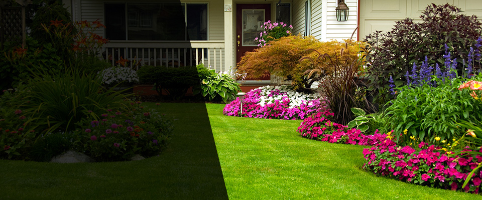 Gladwyne Landscapers