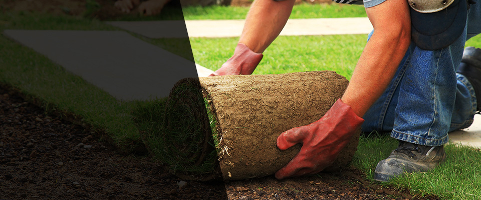 Gladwyne Landscapers